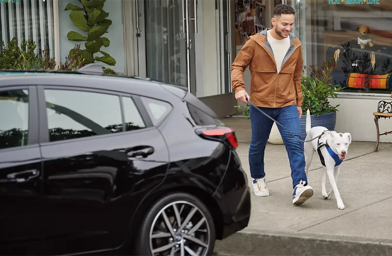 Pre-Owned Subarus Man Walking Dog Past Subaru Impreza