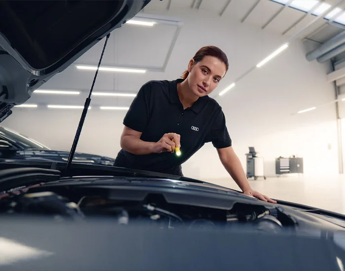 Audi Wynewood Service