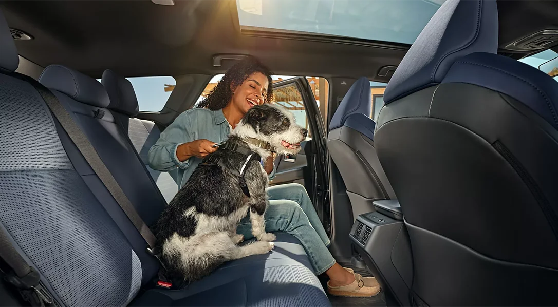 Comparing Your Options the Right Way at Burke Subaru
