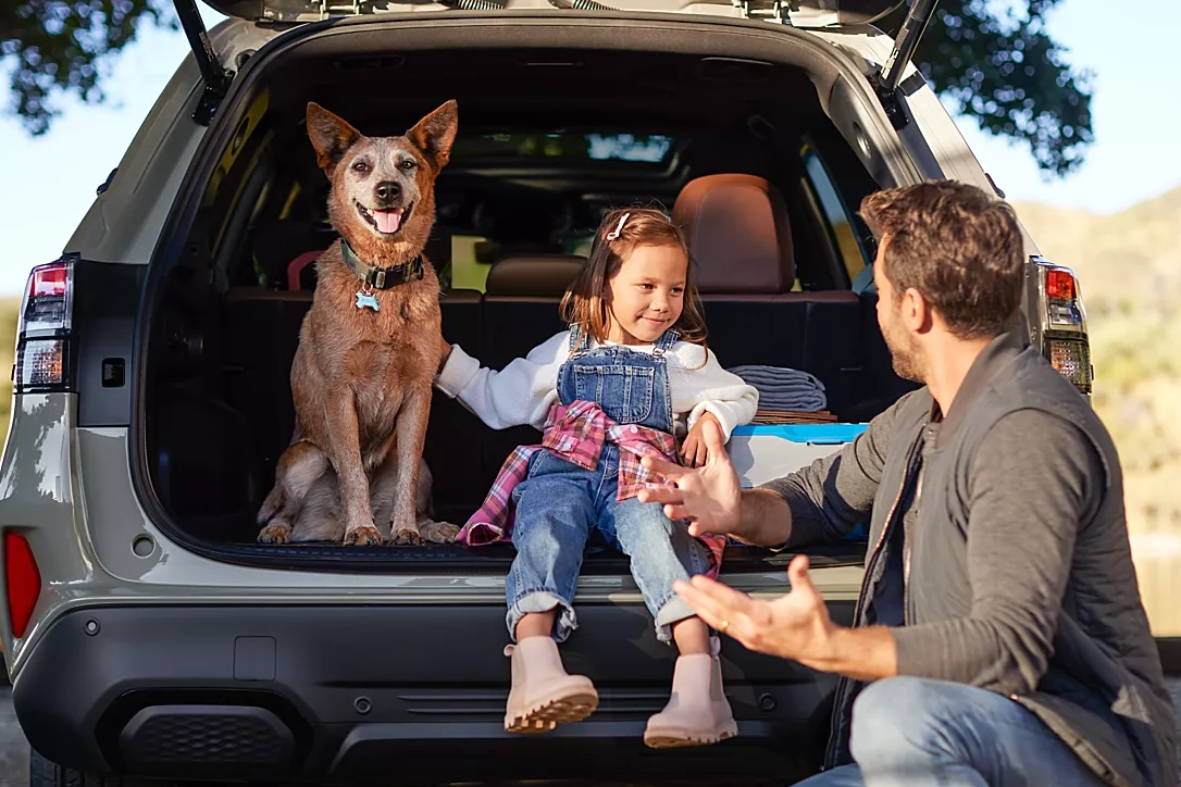 Comparing Your Options the Right Way at Curry Subaru