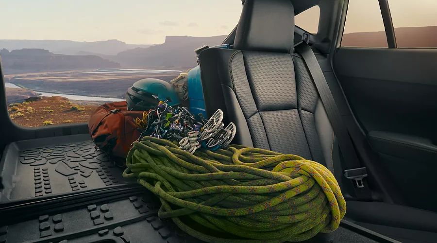 Rear-Seat Safety Technology