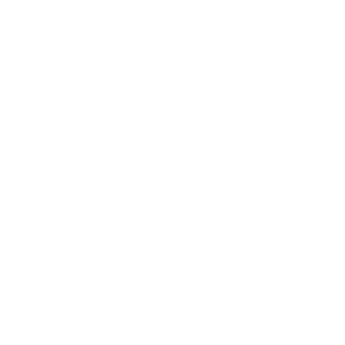 Technician Icon