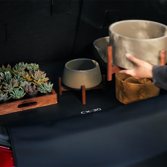 2026 Mazda CX-30 interior and cargo area