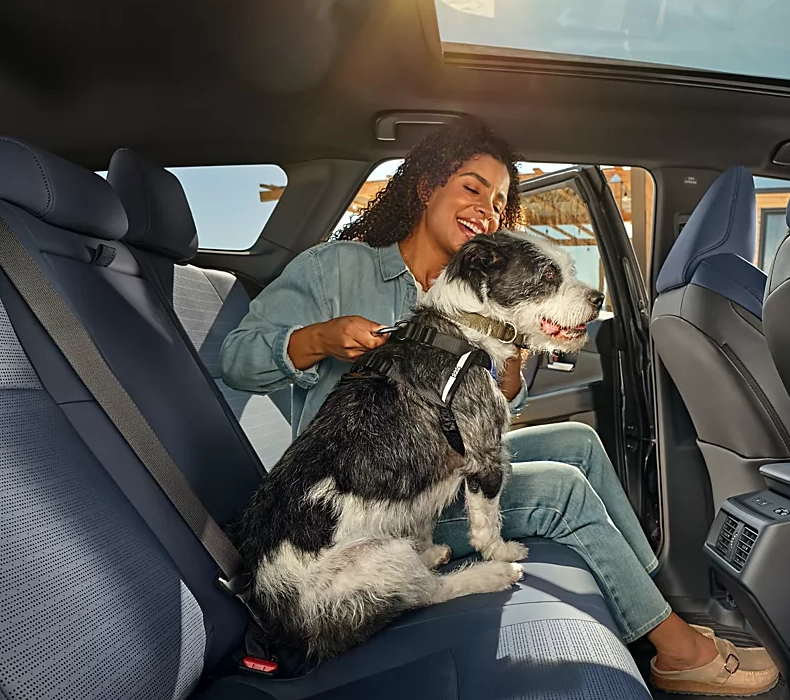 Find your next Subaru for Sale at Stamford Subaru